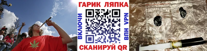 блэк спрут как зайти  Кашин  ГАШ убойный 