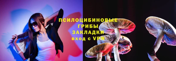 крисы Богородск