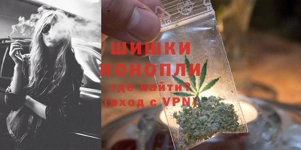 крисы Богородск